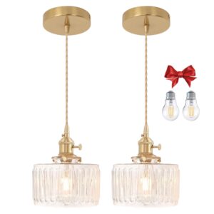 Clear Fluted Glass Pendant Light, 2 Bulbs, Adjustable Cord with Switch